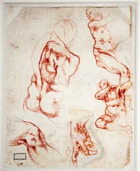 Study for the Hand of God (Creation of Adam)